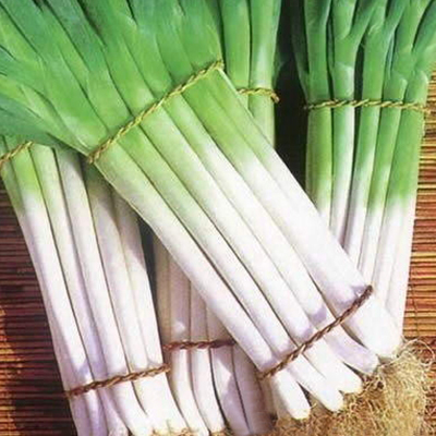 蔥